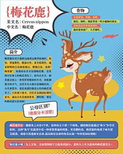 果粒77采集到森泊