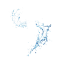 水花