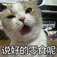 #好玩的表情包# 小婊砸还不去铲屎，居然还在刷微博