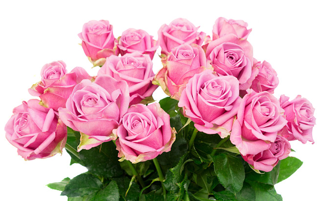 Bouquets_Roses_Close...