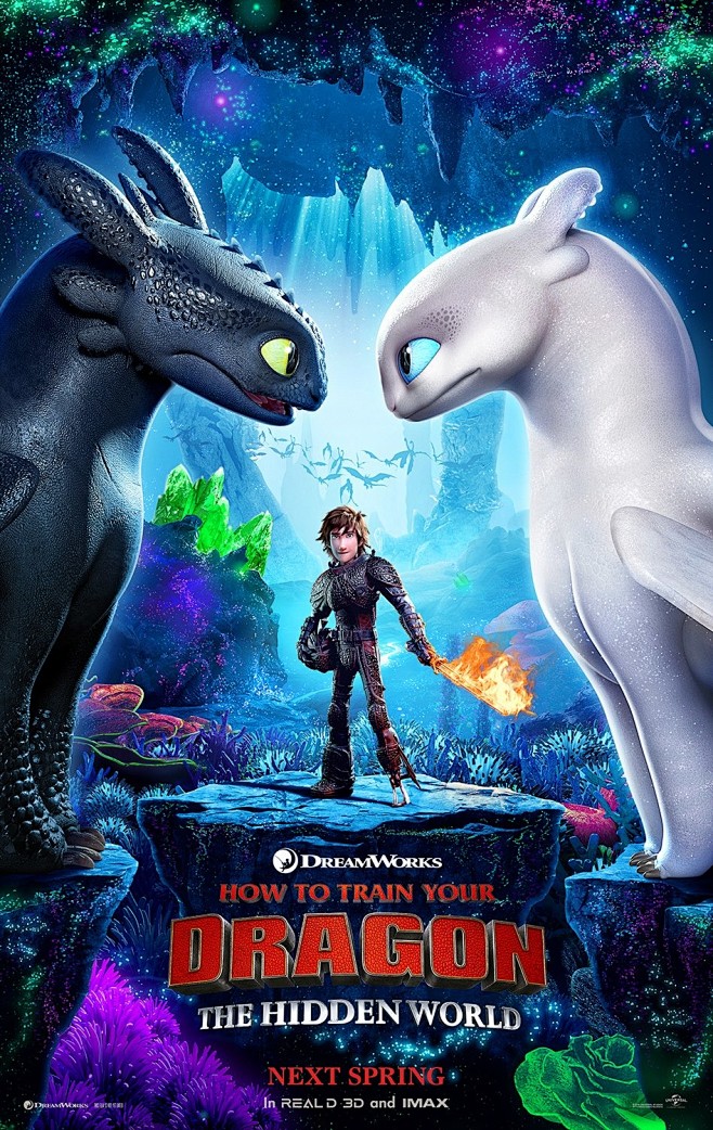 extralargemovieposterimageforhowtotrainyourdragonthehiddenworld