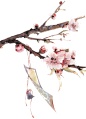 1cd1aefb0f185ab664071b9b39705ebe1856298e5c9f2-9znnqR_fw658