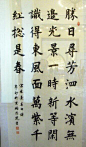 杨洁篪书法