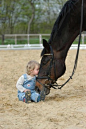 Horses are such gentle creatures