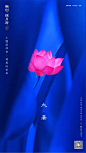 融创揽月府-节气-大暑