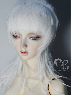 竹小芝采集到bjd