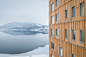 Mjøsa湖之塔，世界上最高的木材建筑 / Voll Arkitekter - 建筑图, 表皮