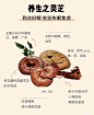 点击查看图片来源