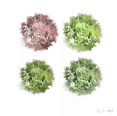 植物素材 平面-花瓣网|陪你做生活的设计师 | 顶视图的红色枫树孤立在白色的背景