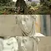 傲慢与偏见 Pride &amp; Prejudice (2005)#电影截图#