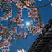 采集图片