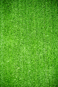 绿茵草坪草地绿地小草绿植物背景纹理JPG高清图片后期合成PS素材
