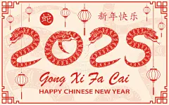 2025新年蛇年春节创意窗花剪纸风元素插画图案海报Ai矢量设计素材-淘宝网