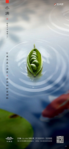 郭大威emm采集到24节气