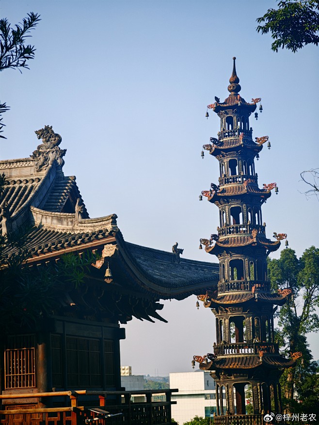 微博 – 随时随地发现新鲜事