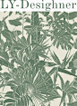 一眼扎进了热带雨林的植物森林 - 小红书