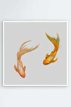金鱼鲤鱼插图中国风水墨画手绘艺术小鱼设计-众图网