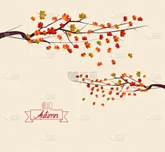 你好,秋天,叶子,地形,蔬菜,请柬,风,食品,壁纸,问候