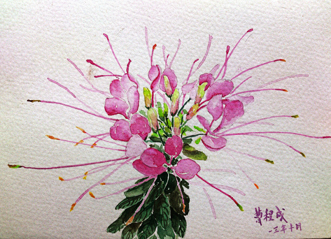 cc_c_  的插画 涂鸦涂＿鸦