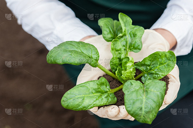 生物食品生产。