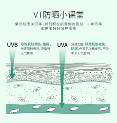 矢苣采集到皮肤结构