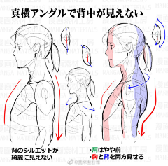 ﹏叶子采集到人体