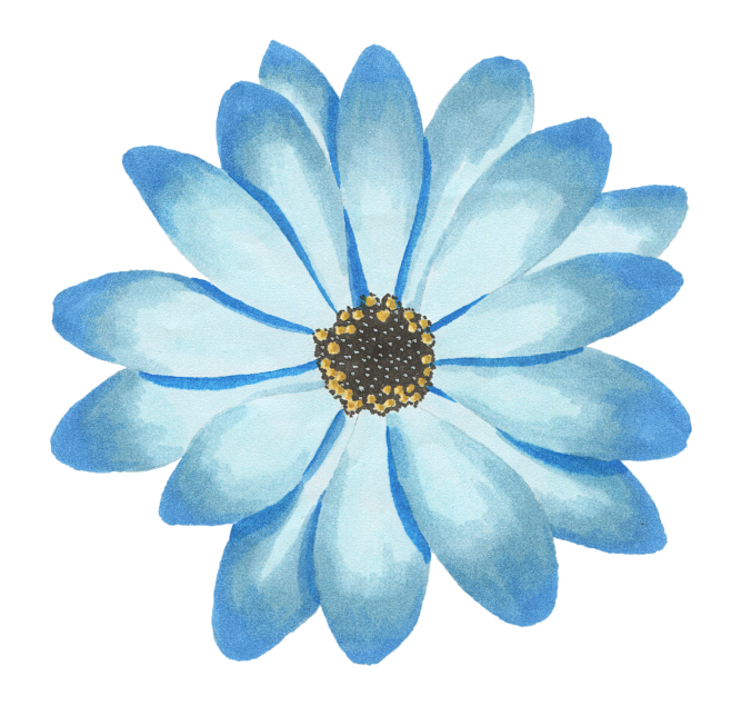 png蓝色花卉花朵鲜花手绘透明免抠素材
...
