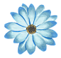 png蓝色花卉花朵鲜花手绘透明免抠素材
@冒险家的旅程か★