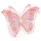 c1ddc70937d885acfc22a1493ffb86ec6507e5829384c-DntanP_fw1200