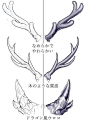 犄角素材
