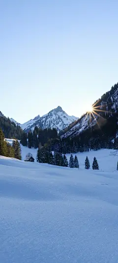 雪山 树 小房子 夏天降温风景手机壁纸