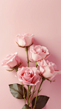 Exquisite promotional poster, love, romance, pink tone,best quality, masterpiece,rose,clean background,