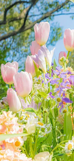 一眼就爱上的壁纸