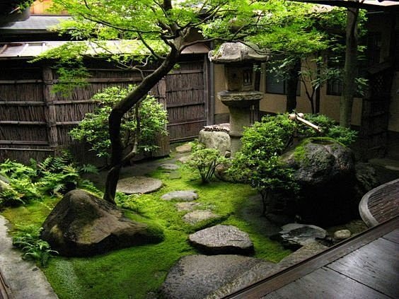 日式的庭院景观 ​​​​