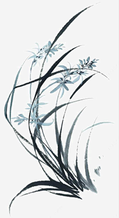深雨燕纷飞采集到国画花鸟