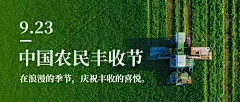 通用农民丰收节祝福实景公众号首图