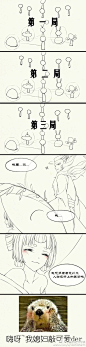 @苜菽蔬_脆脆桌[cp]#阴阳师手游# #荒椒# 被荒椒萌一脸血，肝手书的过程没忍住摸了一个鱼，画得有点草，大概是荒总护妻不成反被护的故事【不 ​​​[/cp]