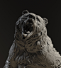 bear_closebeauty_v001