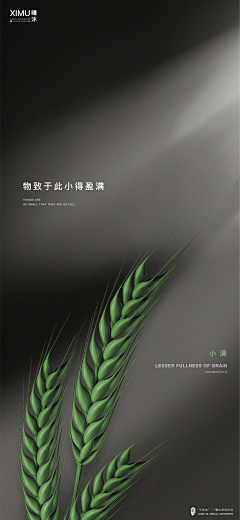 第二十九颗星球采集到节气海报