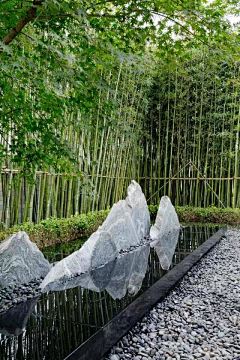莘路采集到石头