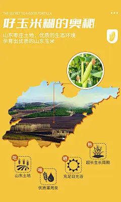 盖亚农场玉米糊熟玉米粉40g*20小包即食冲饮0脂代餐粉杂粮早餐粥-tmall.com天猫