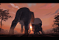 lorenz-hideyoshi-ruwwe-elephant-walk.jpg (1200×823)