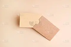 时尚的品牌模型展示你的艺术作品，名片在牛皮纸上。可回收材料理念，环保制造。平面俯视图
