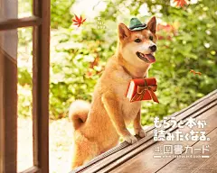 日本全国通用图书卡(図書カード)壁纸
