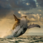 Most Popular Photos on 500px Right Now : 当前500px最热门的相片。