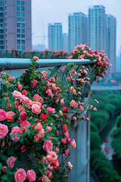 滚滚来采集到背景