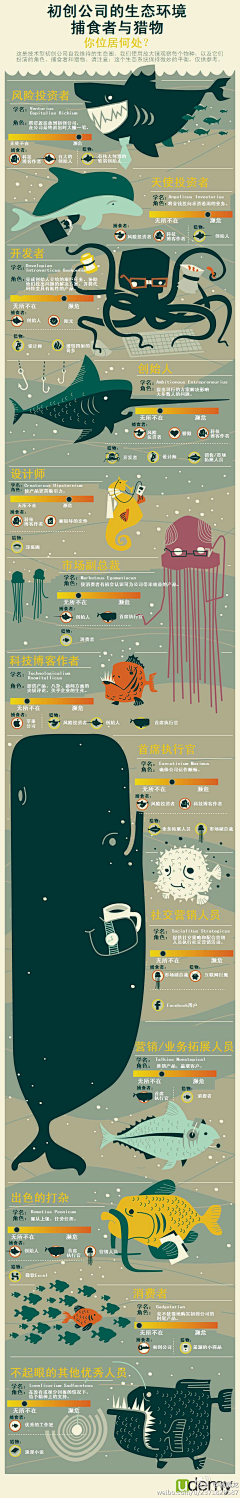 月光蟑螂MOONROACH采集到信息图