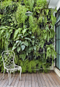 Loft 178 - Jardim vertical!
