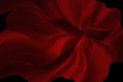高清影楼婚纱飘纱飞舞飘带绸带免抠psd源文件ps合成设计素材 (118)