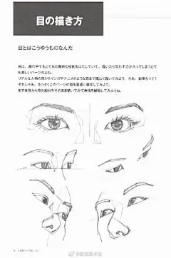 动漫人物五官眼部特征分析
.
研究眉毛与眼睛的表情结构
.
漫画人物插画手绘必备参考 ​​​​